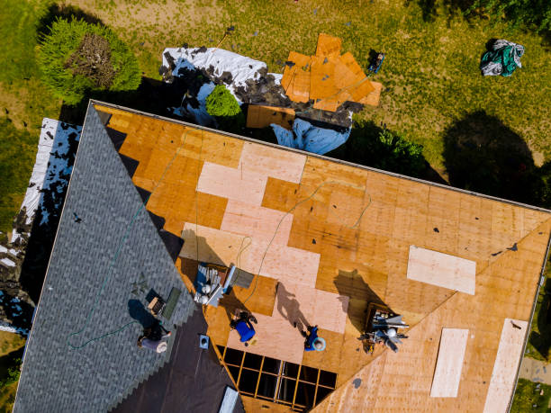 Best Metal Roofing Contractor  in Avilla, IN